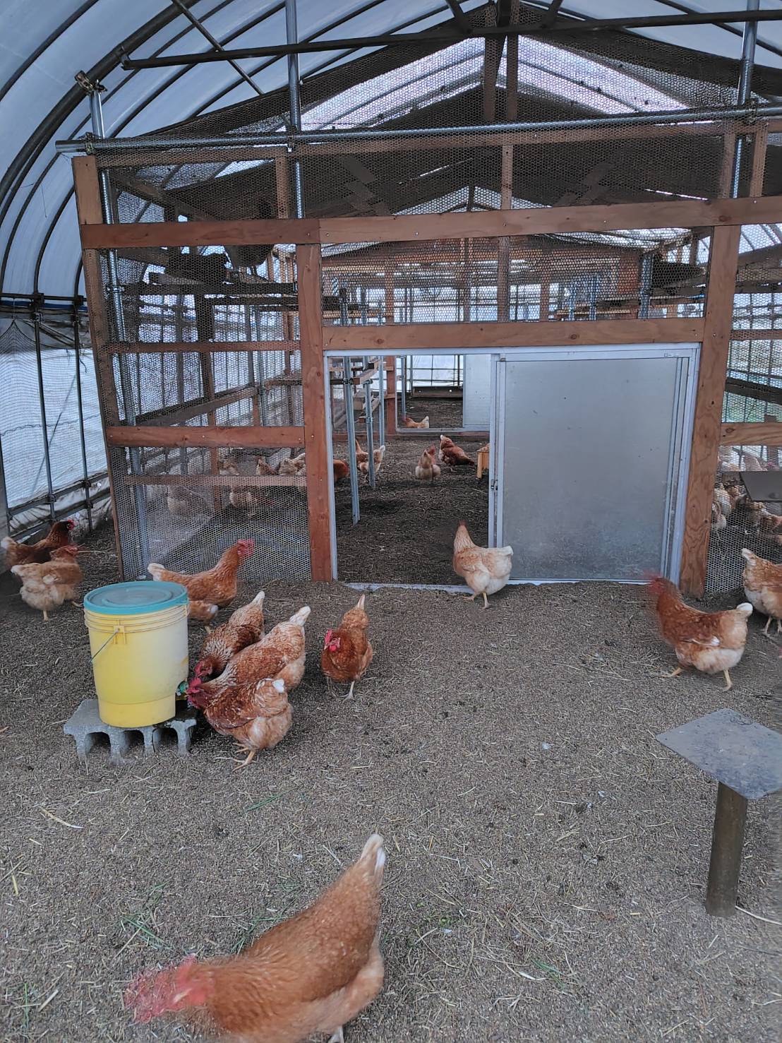 松葉茶や米粉パンなどの無添加加工食品