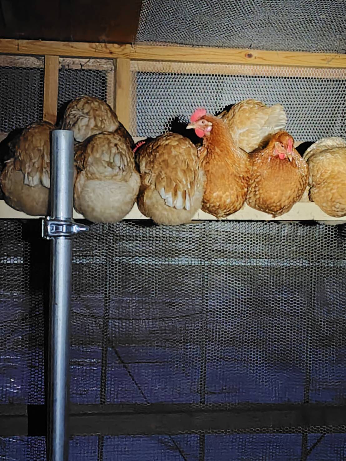 岩手八幡平の自然豊かな風景 - もっとありがとう農園